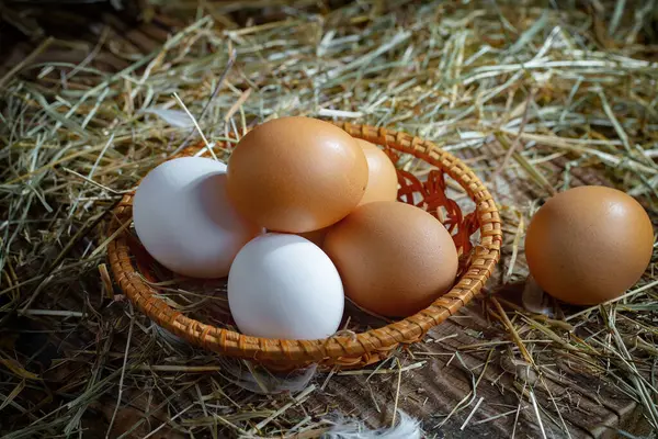 Çiğ tavuk yumurtası, kuru otların arka planında.