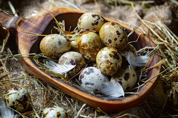 乾燥した草の背景に対して 生のクエイルの卵 — ストック写真