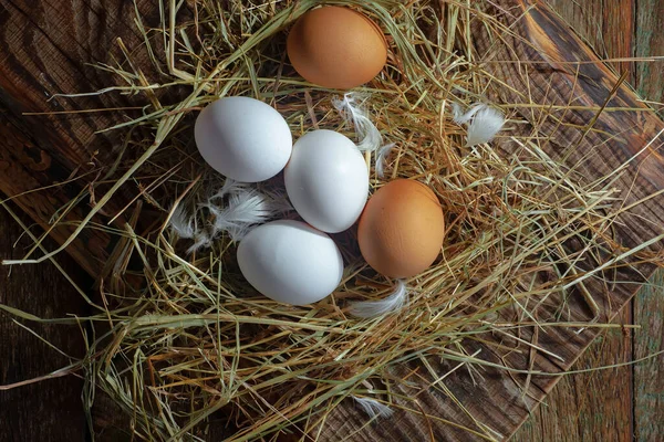 Çiğ tavuk yumurtası, kuru otların arka planında.