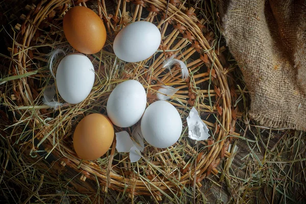 Курячі Яйця Сирі Тлі Сухої Трави Ліцензійні Стокові Зображення