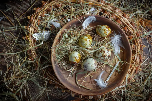 Перепелиные Яйца Сырые Фоне Сухой Травы Лицензионные Стоковые Изображения