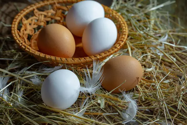 Αυγά Κοτόπουλου Ωμά Στο Φόντο Του Ξηρού Χόρτου Εικόνα Αρχείου