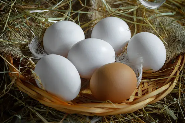 Αυγά Κοτόπουλου Ωμά Στο Φόντο Του Ξηρού Χόρτου Royalty Free Εικόνες Αρχείου