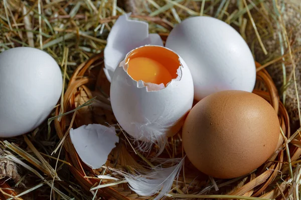 Huevos Pollo Crudos Sobre Fondo Hierba Seca Imagen de archivo