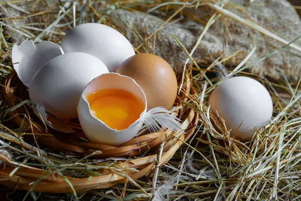 Αυγά Κοτόπουλου Ωμά Στο Φόντο Του Ξηρού Χόρτου Φωτογραφία Αρχείου