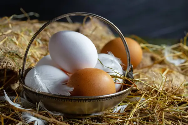 Αυγά Κοτόπουλου Ωμά Στο Φόντο Του Ξηρού Χόρτου Royalty Free Φωτογραφίες Αρχείου