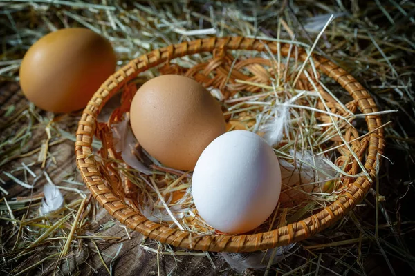 Куриные Яйца Сырые Фоне Сухой Травы Стоковое Изображение