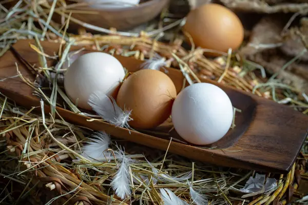 Huevos Pollo Crudos Sobre Fondo Hierba Seca Fotos de stock libres de derechos
