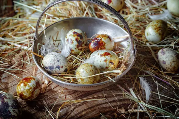 Перепелиные Яйца Сырые Фоне Сухой Травы Стоковое Фото