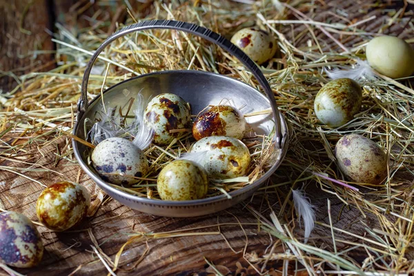 Quail Eggs Raw Background Dry Grass Stock Picture