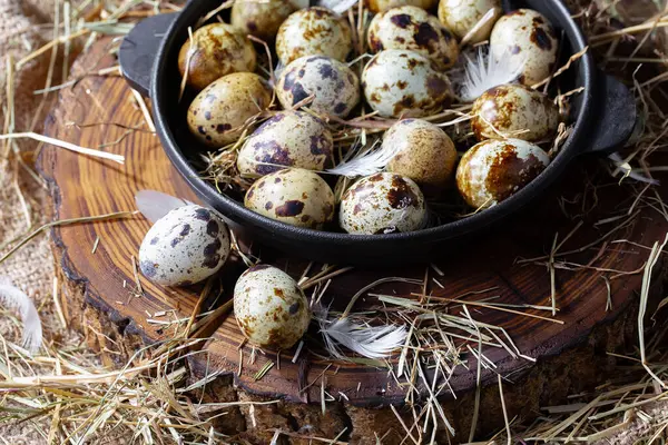 Αυγά Ορτυκιού Ωμά Στο Φόντο Του Ξηρού Χόρτου Royalty Free Εικόνες Αρχείου