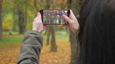 Doğada seyahat eden genç bir kız, sonbahar ormanlarında yürür, resim çeker, sonbahar doğasının güzelliğine hayran kalır, etrafa hayranlıkla bakar, notlar alır, aktif olarak dinlenir. Yavaş çekim.