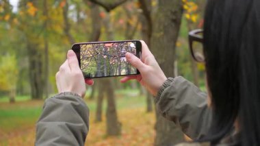 Genç, güzel bir kız doğada gezer, fotoğraf çeker ve sonbahar ormanının güzelliğine hayranlıkla hayran kalır. Yavaş çekim.