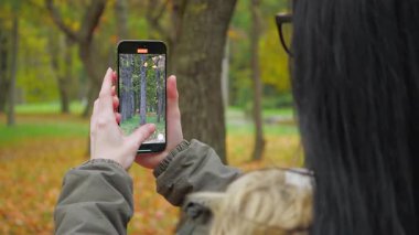 Genç, güzel bir kız doğada gezer, fotoğraf çeker ve sonbahar ormanının güzelliğine hayranlıkla hayran kalır. Yavaş çekim.
