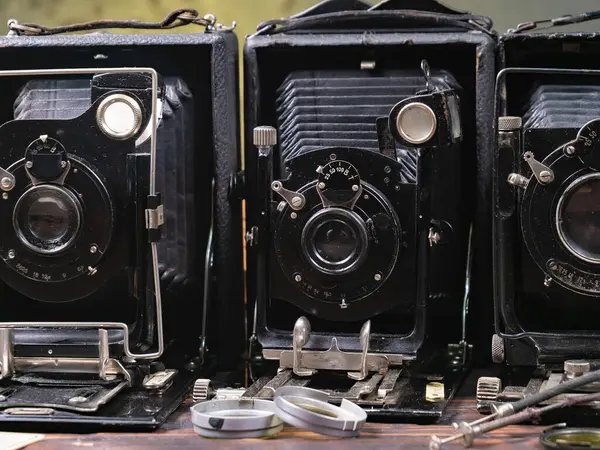 Ahşap bir arka planda eski bir kompozisyon.