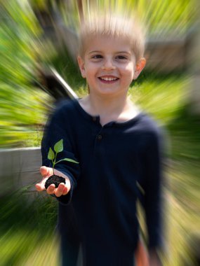 4 yaşındaki çocuk elinde filizlenen filizleri tutuyor. Yakınlaştırma etkisi ve seçici odaklanma. Toprakta bitki yetiştirmek için doğanın arka planı. Ekoloji ve Dünya Günü kavramı.