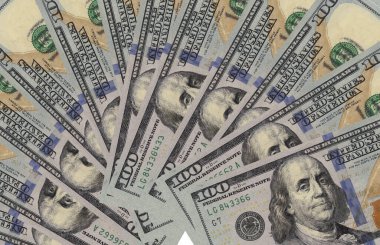 100 dolarlık banknotların hayranı..