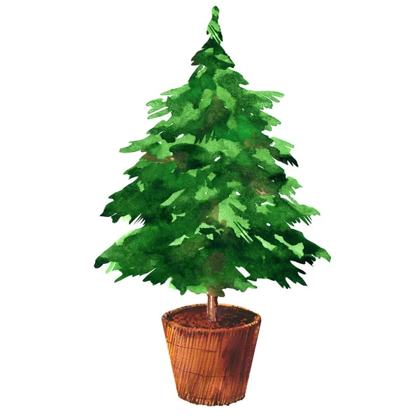 Green Pine Spruce Christmas Tree Brown Pot Holiday Decoration Concept — Stock Photo, Image