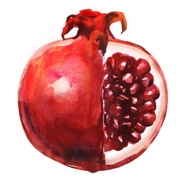Ripe red pomegranate, fresh sliced fruit, isolated, close-up. Design element for package, recipes, menu, shops, markets. Organic vegetarian food, hand drawn watercolor illustration on white background