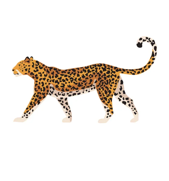 Leopard Raubtier Isoliertes Afrikanisches Tier Wildtiere Vektorabbildung Auf Weißem Hintergrund — Stockvektor