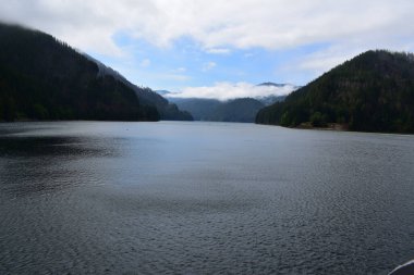 Columbia Nehri Boğazı ve Multnomah Şelalesi