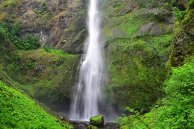 Columbia Nehri Boğazı ve Multnomah Şelalesi