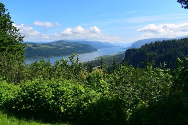 Columbia Nehri Boğazı ve Multnomah Şelalesi