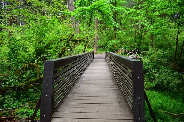 Gümüş falls state park