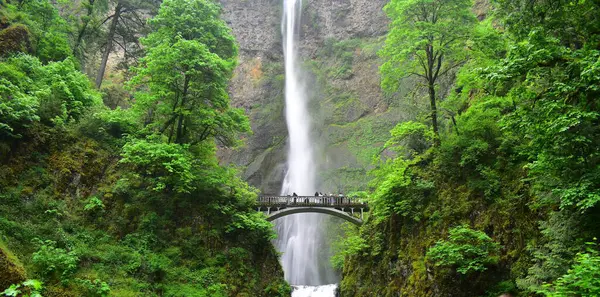 Columbia Nehri Boğazı ve Multnomah Şelalesi