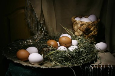 Yuvada tavuk yumurtasıyla hayat