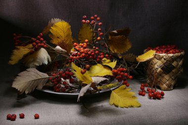 Bir tabak kırmızı böğürtlen ve meyve dolu bir hasır vazo ile süslenmiş bir buket Hawthorn dallarıyla dolu sakin bir hayat.