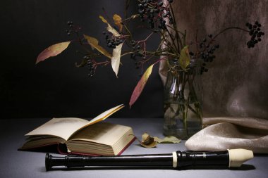 Bir kayıt cihazı ve bir şiir koleksiyonu, sonbahar dalları siyah böğürtlenlerle dolu bir vazonun yanında, masanın üzerinde duruyor..