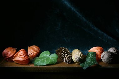 Çam kozalakları, kabarcıklar ve fındıklar düzgünce dizilmiş yatay bir pankart. Üstte metin eklemek için boşluk var.