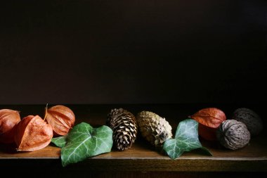 Çam kozalakları, kabarcıklar ve fındıklar düzgünce dizilmiş yatay bir pankart. Üstte metin eklemek için boşluk var.