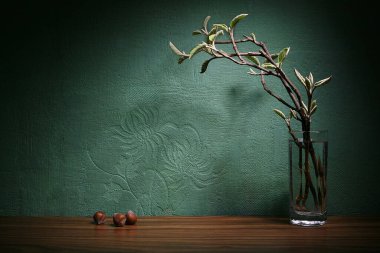 Genç, yeşil desenli duvar kağıdında uzun bir bardak suda filizleniyor.