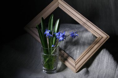 Tahta bir çerçeve üzerinde erken bahar çiçekleri