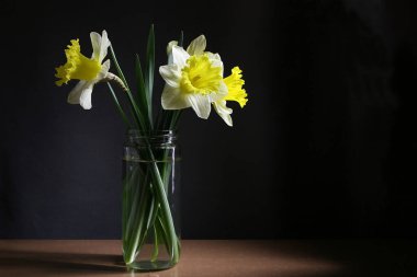 Su kavanozundaki nergislerle geçen bahar