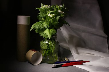 Bir Buket Sarımsak Kurbağası, Bir Dava ve Makyaj Fırçasıyla Hayat