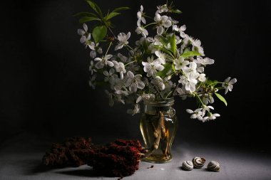 Gri arka planda, bir buket meyve ağacı dalları, staghorn sumac meyveleri ve üç küçük kabuk