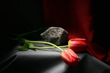 Yatay pozisyonda iki kırmızı lale, kırmızı kumaş arka planda gri kaidede yatıyor.
