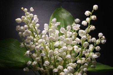 Vadinin yapraklarından oluşan bir buket zambak.