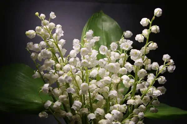 Vadinin yapraklarından oluşan bir buket zambak.