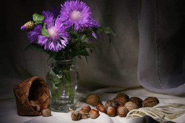 Bir buket Stokesia, şeffaf bir vazoda, yanında da ceviz ve fındık var. Hafif ışıklandırmalı hafif kumaşların arka planında hala hayat var