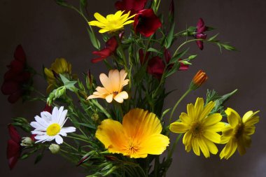 Farklı renklerde çiçeklerin çiçek arkaplanı. Tebrik kartı.