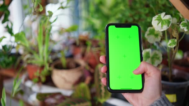 Person Scrolling Smartphone Green Screen Background Potted Plant Florists Store — Stockvideo