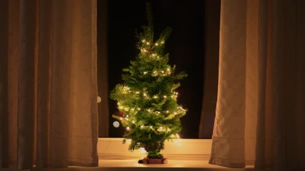 Pequeño Árbol Navidad Con Luces Alféizar Ventana Apartamento Nochevieja Casa — Vídeo de stock