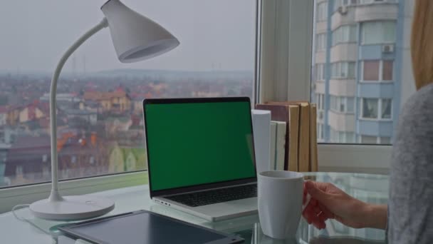 Фрілансер Має Перерву Робочому Місці Видом Міський Пейзажний Ноутбук Зеленим — стокове відео