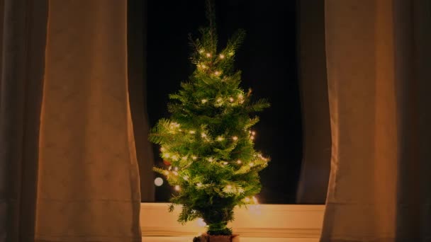 小さなクリスマスツリーのカーテンの上から眺められるアパートの窓の明かり休日の精神室内 — ストック動画