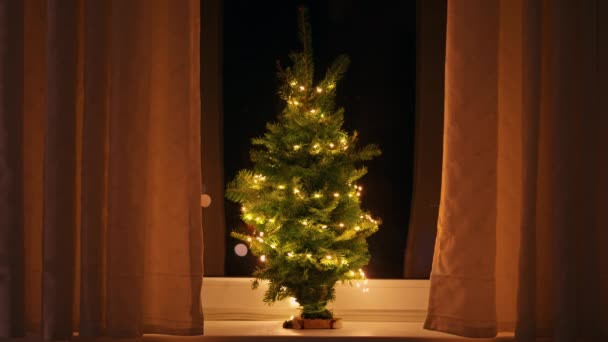 Μικρό Χριστουγεννιάτικο Δέντρο Φώτα Στο Περβάζι Του Παραθύρου Διαμέρισμα Πνεύμα — Αρχείο Βίντεο