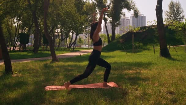 Vrouw Oefenen Yoga Buiten Park Zomer Zonnige Dag Gezonde Actieve — Stockvideo
